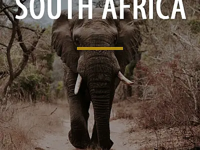 Exploring South Africa Bucket List - Create with Bookitlist Destination