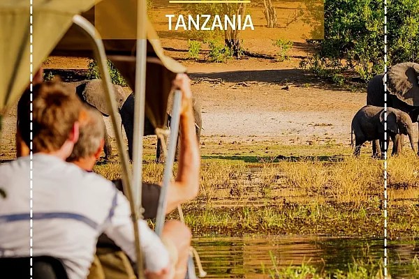 7 day Tanzanian Safari adventure