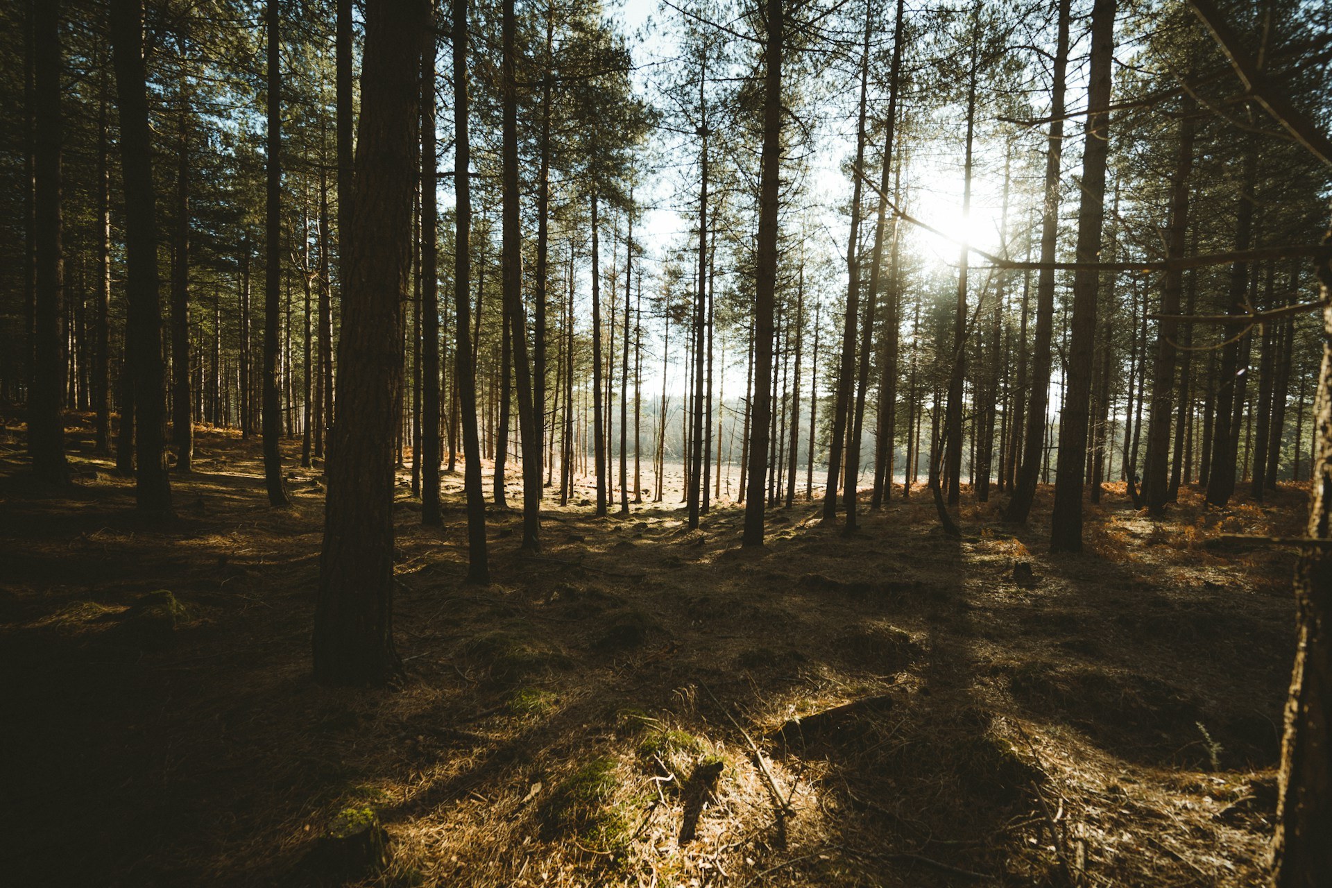 The Top National Parks in Europe Have Been Revealed – and Two Beloved UK Spots Made the List!