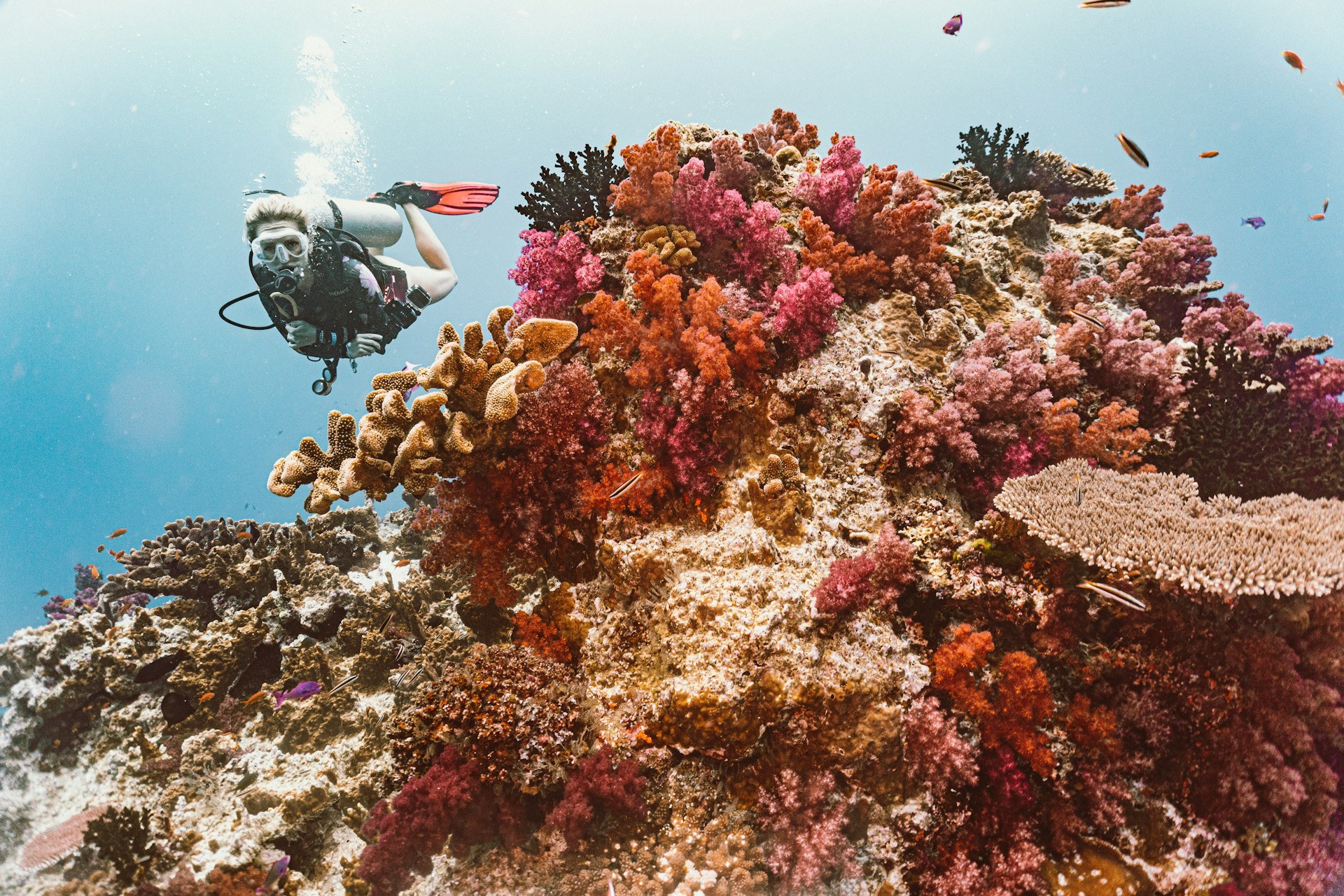 This paradisical island nation is asking tourists to give a little back!