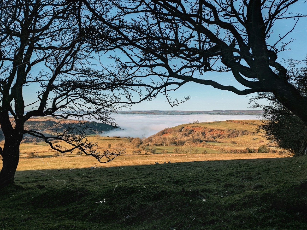 Building a survival shelter in Brecon Beacons, Wales