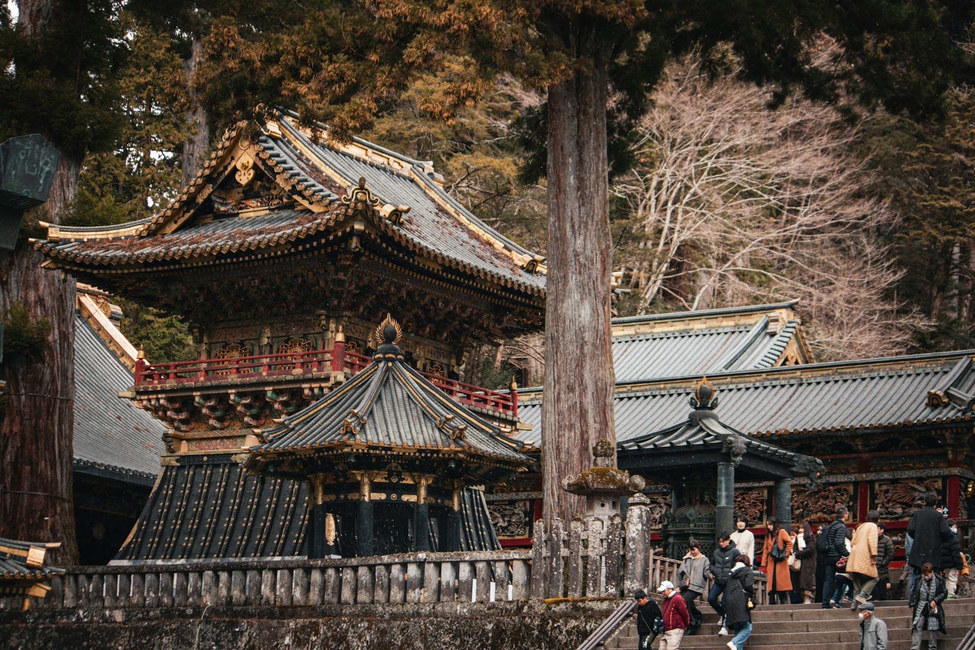 All Aboard! Travelling Japan by Train Just Got Way Easier for Tourists!