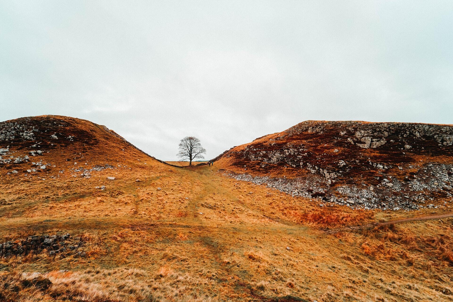 7 Day Hadrian's Wall Walk - Sycamore Gap