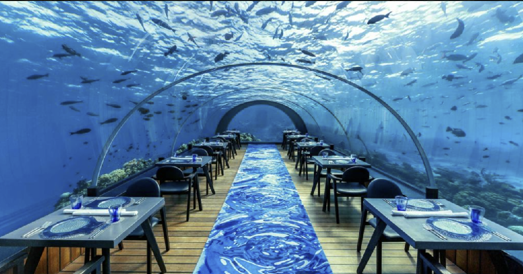 Undersearestuaranttour